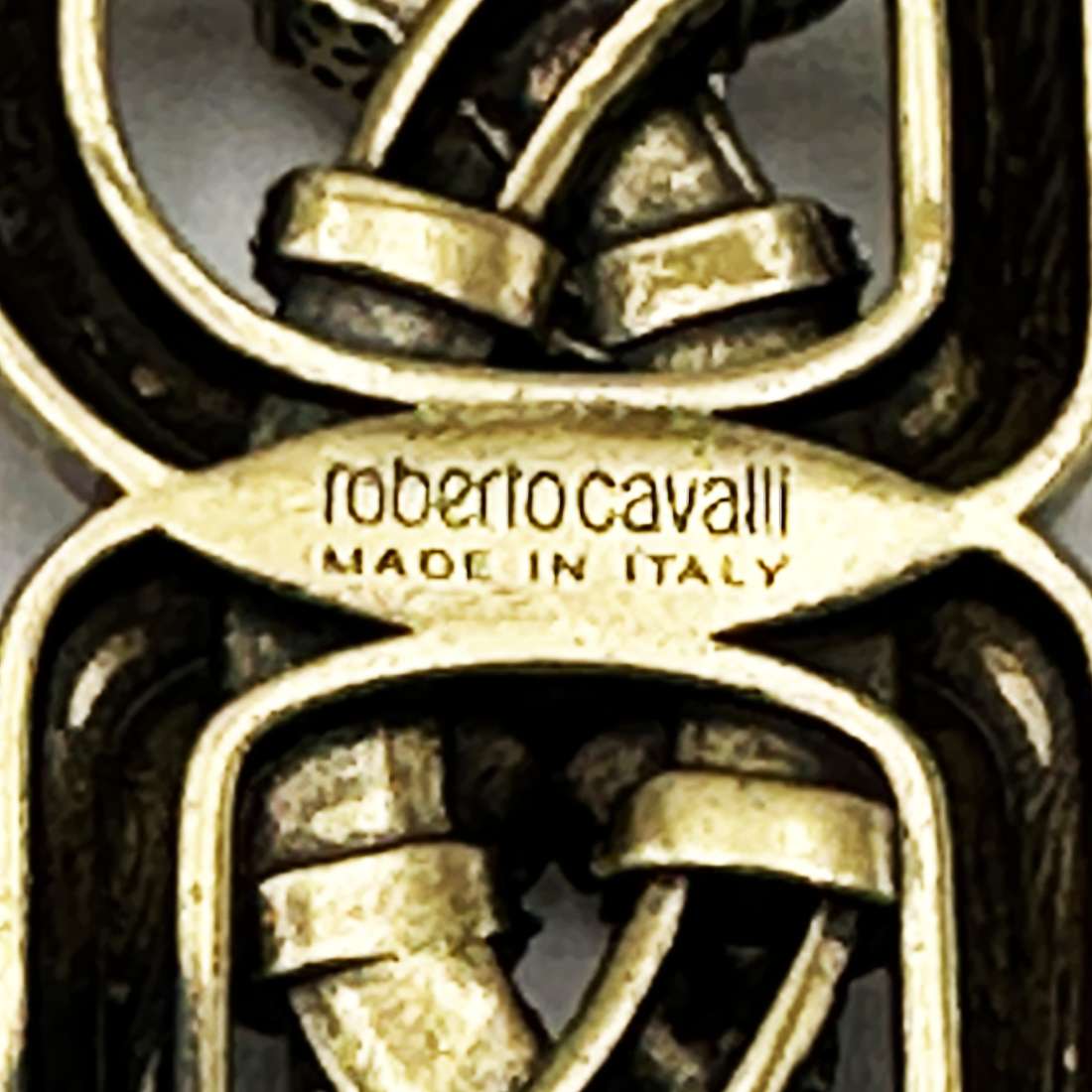 An Original Roberto Cavalli Snake Brooch