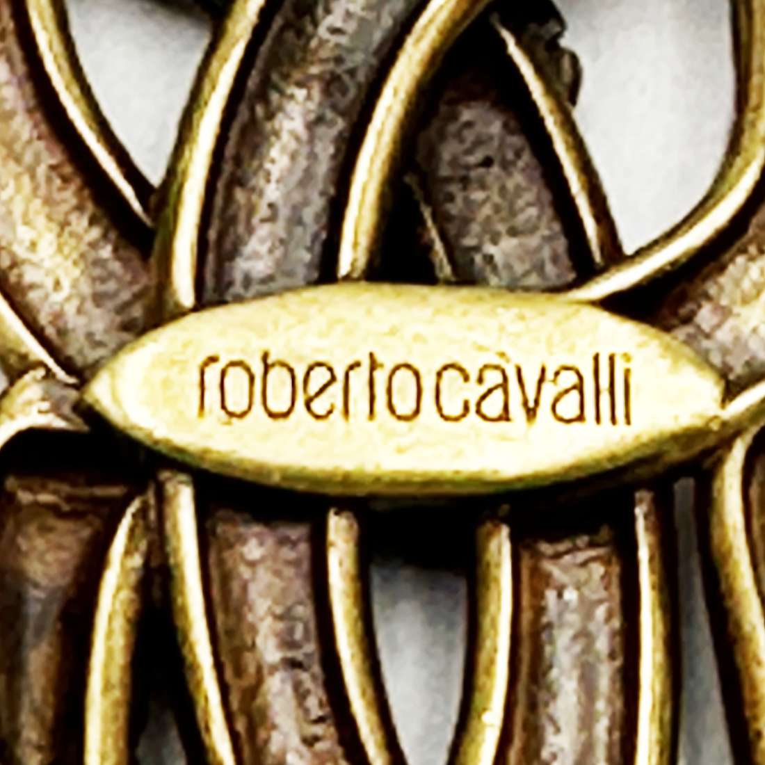 An Original Roberto Cavalli Snake Brooch