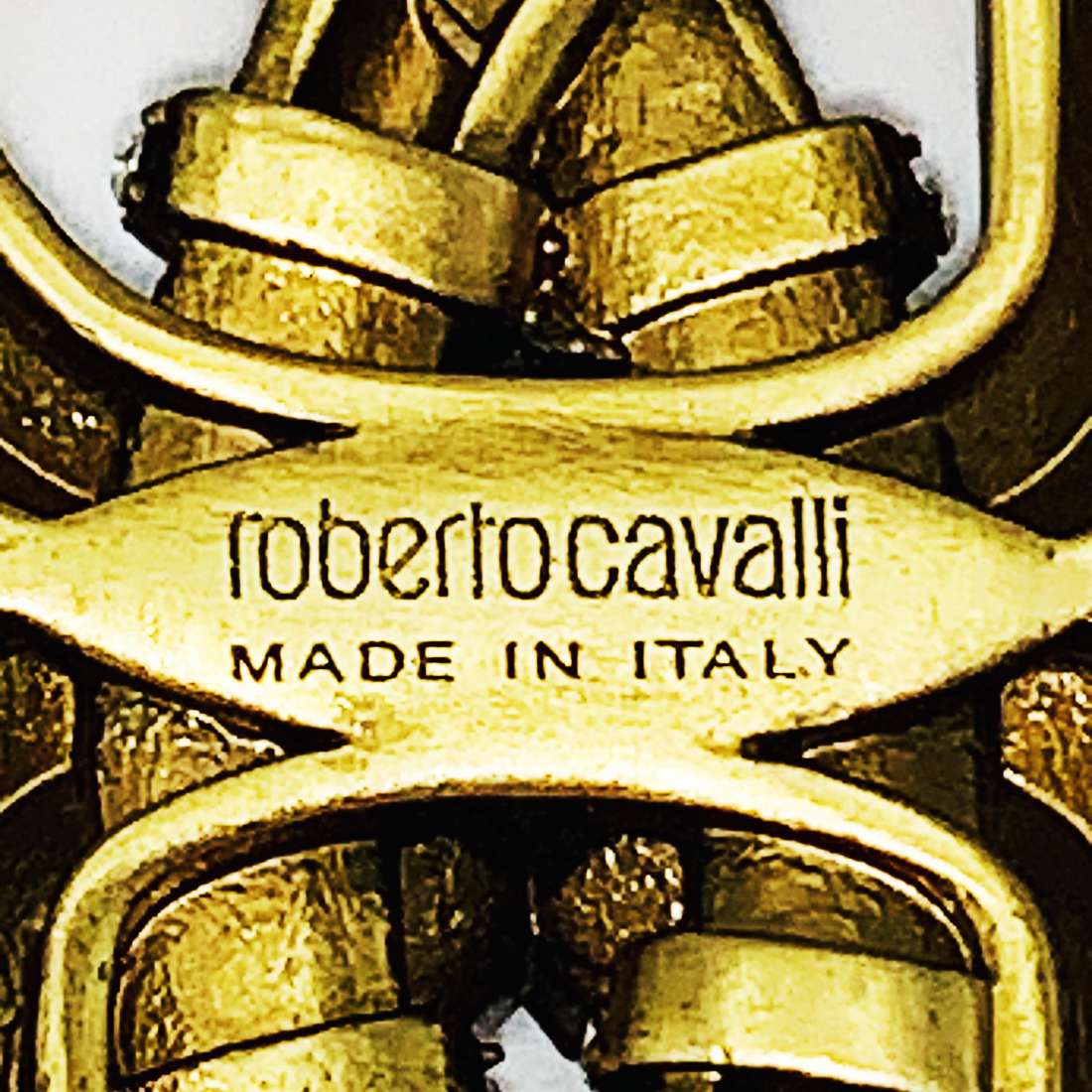 An Original Roberto Cavalli Snake Brooch