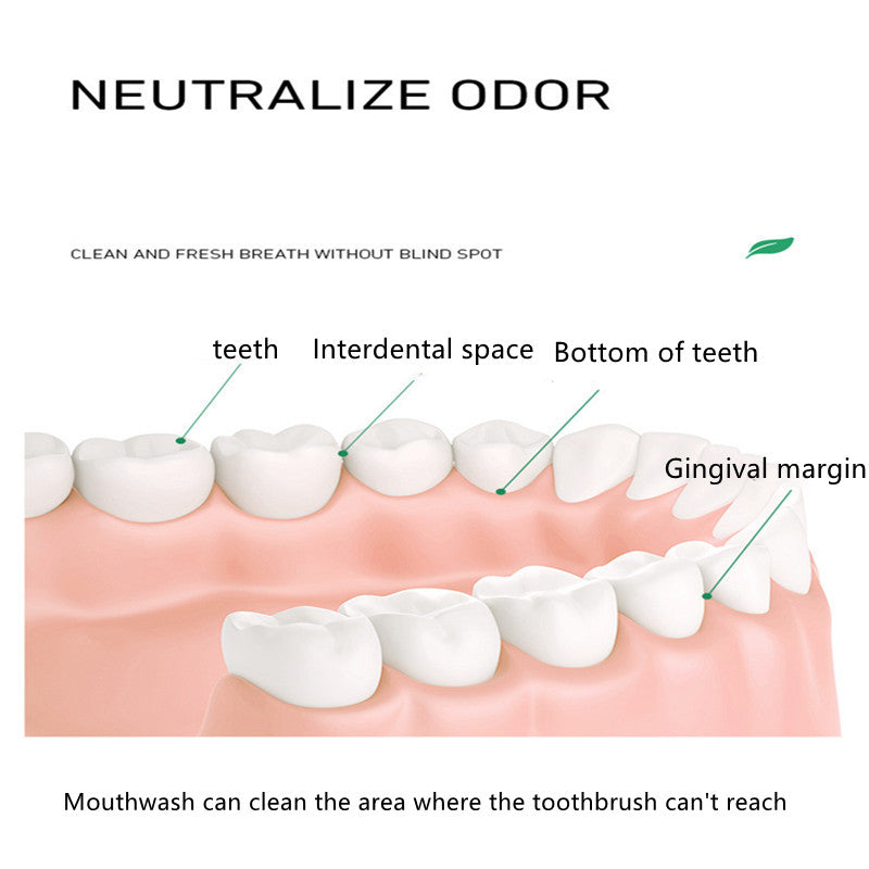 Mint mouth wash 10ml*20