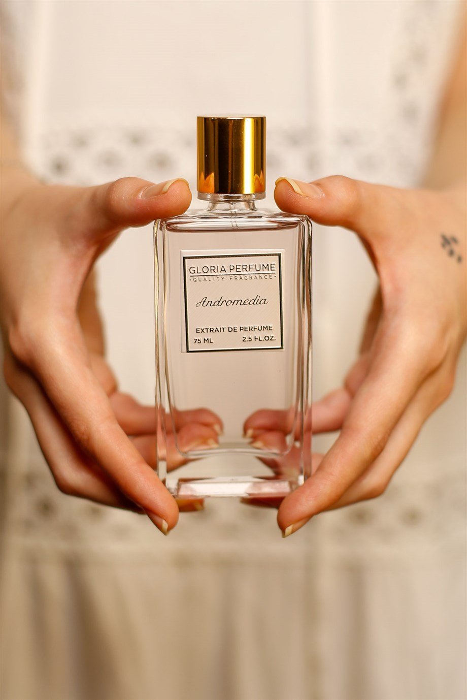 TIZIANA TERENZI - ANDROMEDIA - Laxe Online